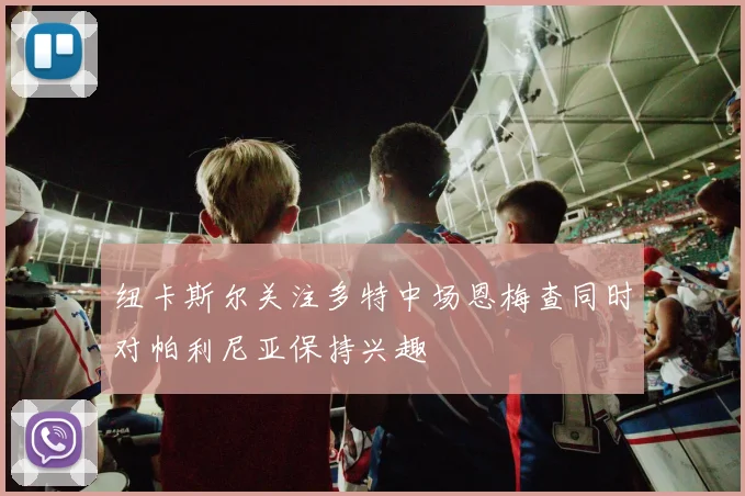 纽卡斯尔关注多特中场恩梅查同时对帕利尼亚保持兴趣