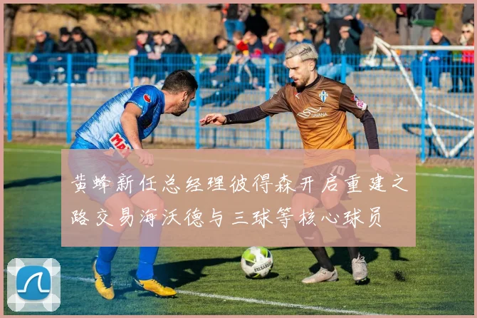 黄蜂新任总经理彼得森开启重建之路交易海沃德与三球等核心球员