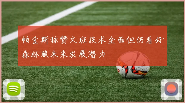 帕金斯称赞文班技术全面但仍看好森林狼未来发展潜力